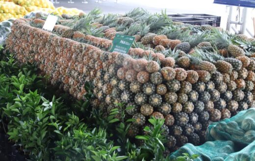 Doação simultânea do PAA reúne agricultores e entidades em editais no Amazonas