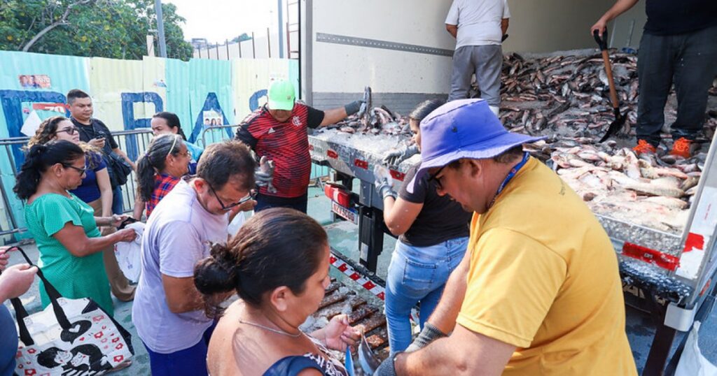 Pescado distribuído em Manaus é apresentado como apoio à alimentação e ao orçamento familiar